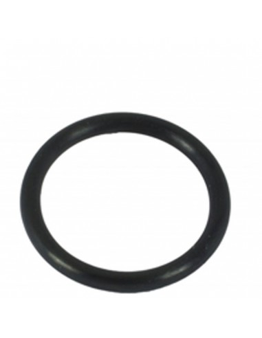 Inel O-Ring [ELEMENT]
