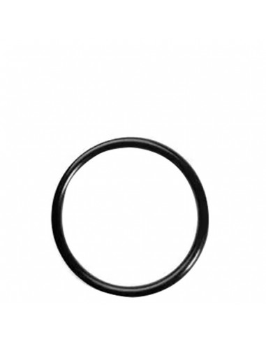 O-ring pentru duză aer [SHS]