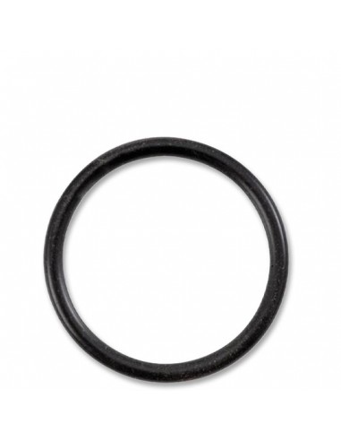 Rezervă cap piston O-Ring SVD...