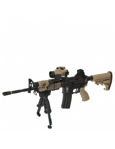 Mâner M4 | M16 [BIG DRAGON]