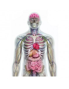 Țintă Pegi18 [RANGE SOLUTIONS]