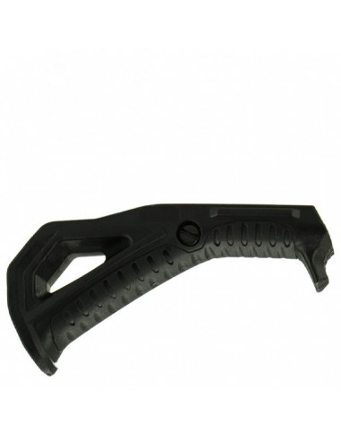 Mâner tactic RIS [FMA]