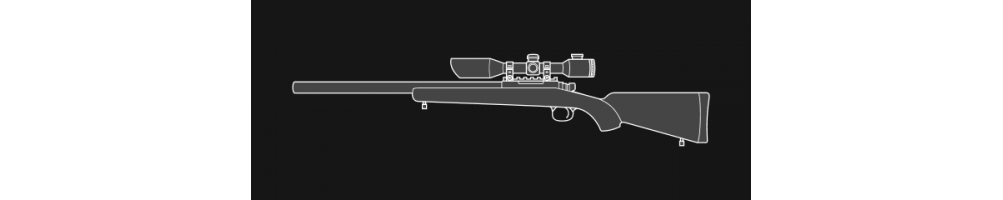 Cumpără Online Puști Sniper de la Elite-Airsoft.