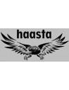 Haasta
